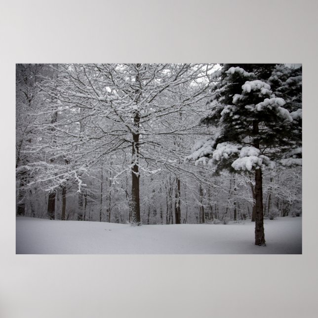 Pôster Modo de Exibição de Woods (Frente)