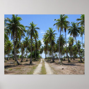 Poster Modo de Rangiroa para o paraíso