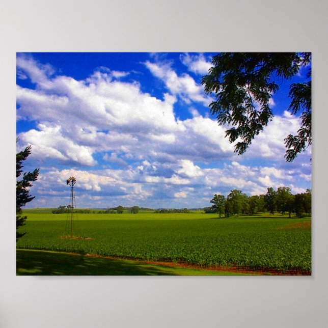 Poster Moinho de vento esquecido (Frente)