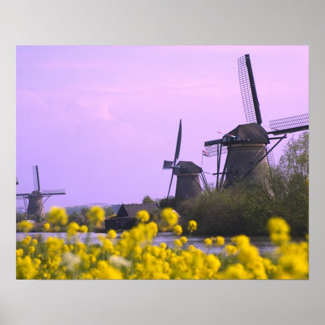 Pôster Moinhos de vento ao longo do canal em Kinderdijk, (Frente)
