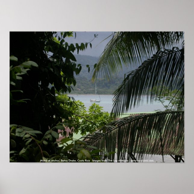 Poster Moira em âncora, Bahia Drake, Costa Rica (Frente)
