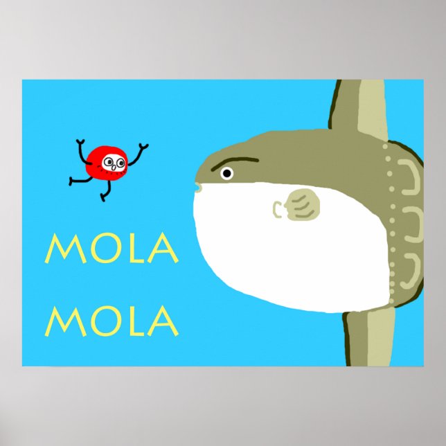 PÔSTER MOLA MOLA (Frente)