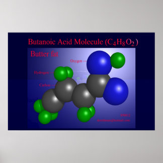 Poster Molécula de ácido butânico (impressão)