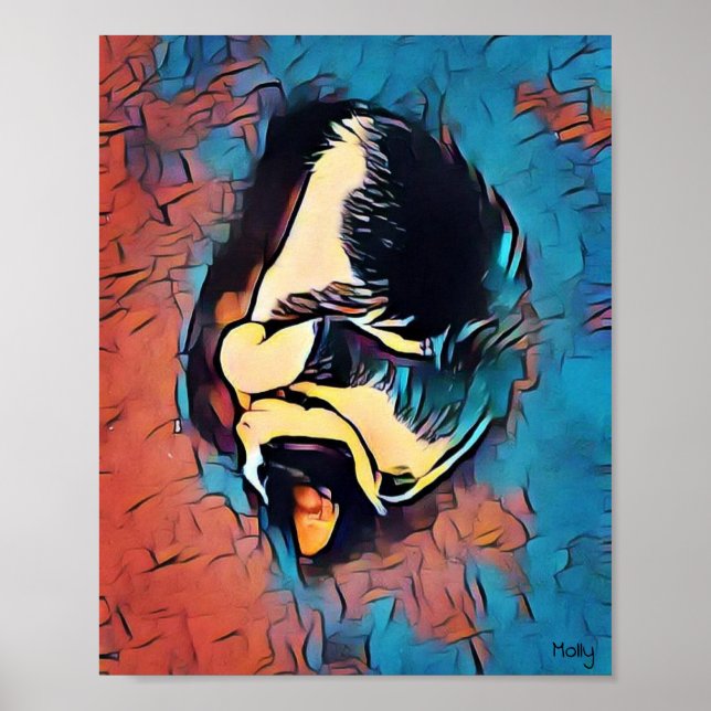 Poster Molly, o Gato (Frente)