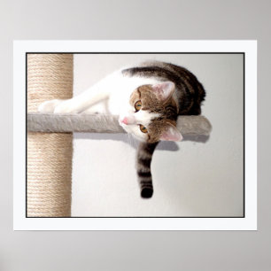 Pôster momento de angústia