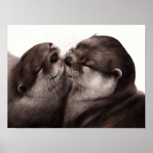 Poster Momento do Tender
