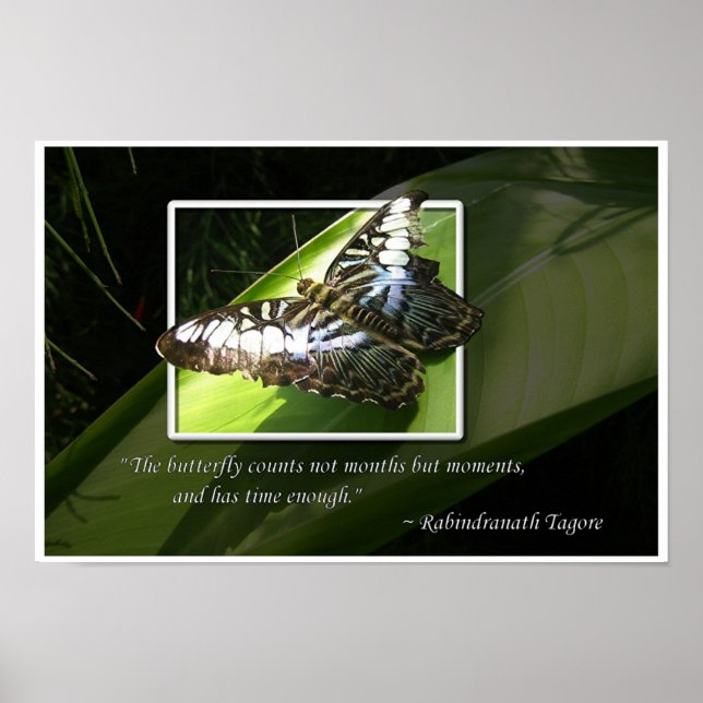 Pôster Momentos no tempo (Frente)