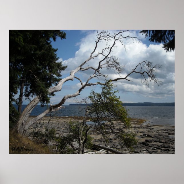 Poster Momentos Pacíficos (Frente)