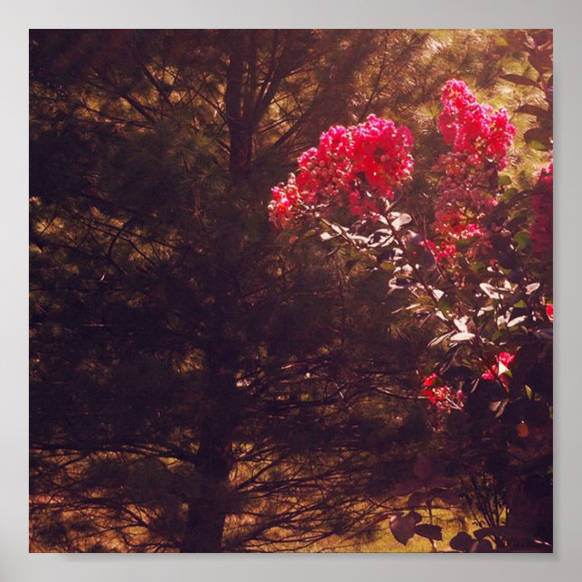 Poster Mom's Garden Print (Frente)