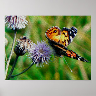Poster Monarch Butterfly