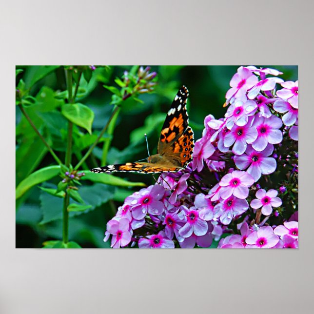 Poster Monarch Butterfly in Flowers (Frente)