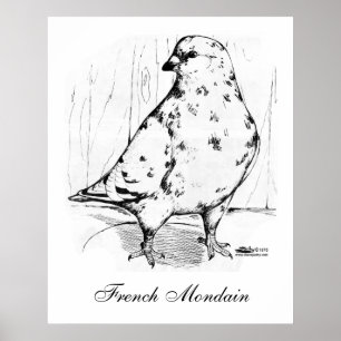 Pôster Mondain Pigeon Francês 1978