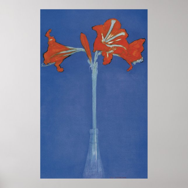 Poster Mondrian Amaryllis em um Flash (Frente)