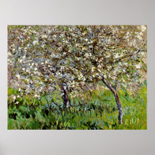 Poster Monet - Apple Tres in Bloom