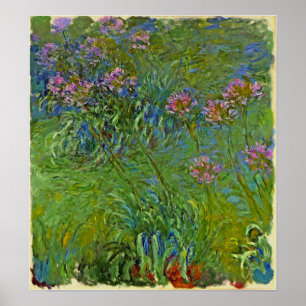 Poster Monet - Flores de Agapanthus 1917
