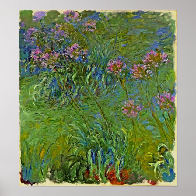 Poster Monet - Flores de Agapanthus 1917 (Frente)