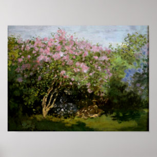Pôster Monet - Lilacs no Sol