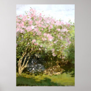 Poster Monet - Lilases no Sol