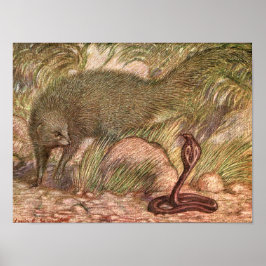 Pôster Mongoose e Cobra por Sargent, Vintage Wild Animal