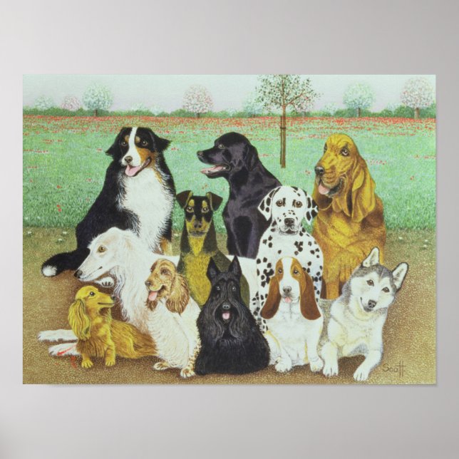 Pôster Monitorização de Cães (Frente)