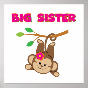 Pôster Monkey Big Sister