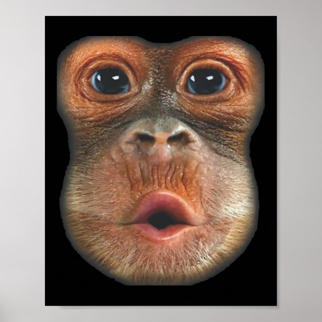 Poster Monkey Blowing Stomach Face  (Frente)