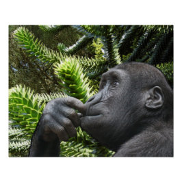 Pôster Monkey Puzzle.