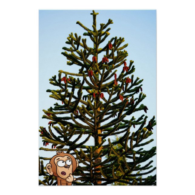Pôster Monkey Puzzle. (Frente)