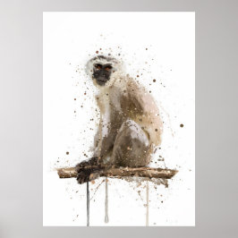 Poster Monkey Vervet