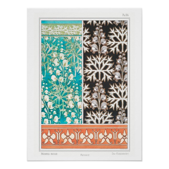 Pôster Monkshood wolfsbane (Frente)