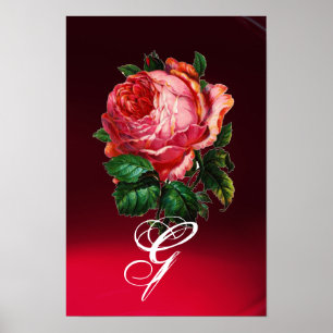 POSTER MONOGRAMA DE ROSA PINK BONITA