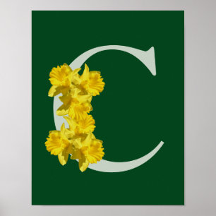 Poster Monograma Inicial Narciso C 