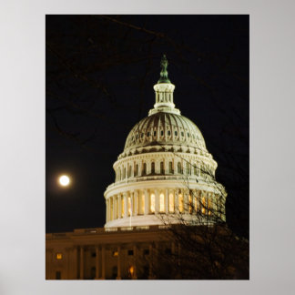 Pôster Mononlit Capital Dome
