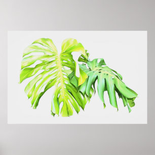 Poster Monstera Artística Leaf Study