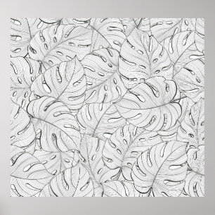 Poster Monstera deixa padrão branco preto