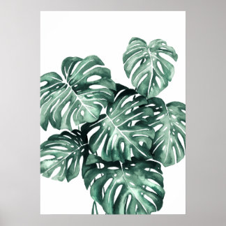 Poster Monstera Deliciosa Folaves