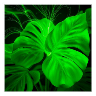 Pôster monstera deliciosa wall art