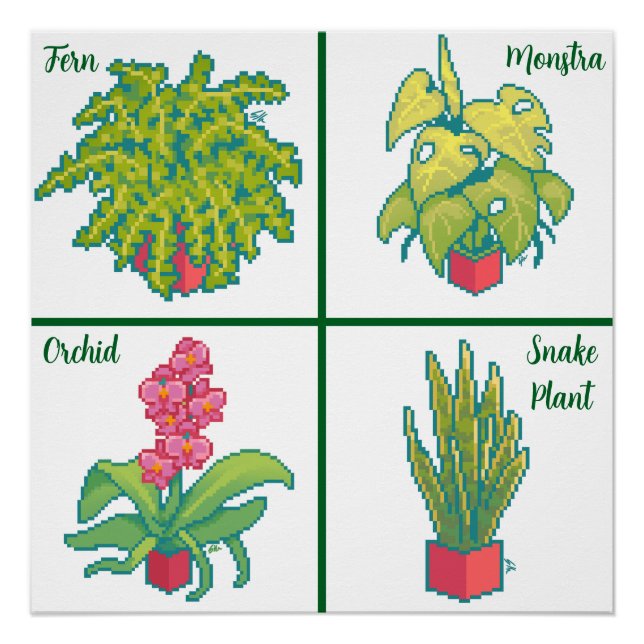 Pôster Monstera, Fern, Orchid, snake plant. Pixel art (Frente)