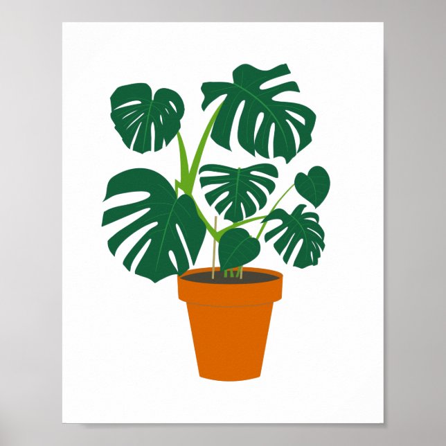 Poster Monstera, flor branca, em floricultura (Frente)