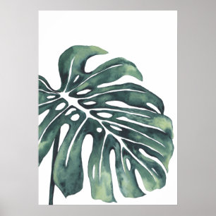 Poster Monstera Leaf 4