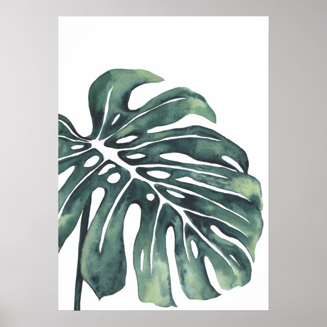Poster Monstera Leaf 4 (Frente)