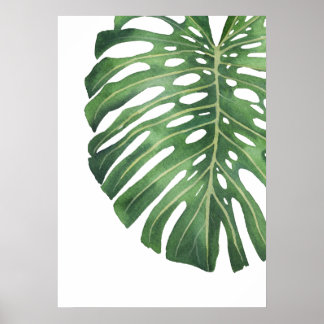 Poster Monstera Leaf 6