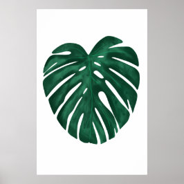 Poster Monstera Leaf Tropical Plant