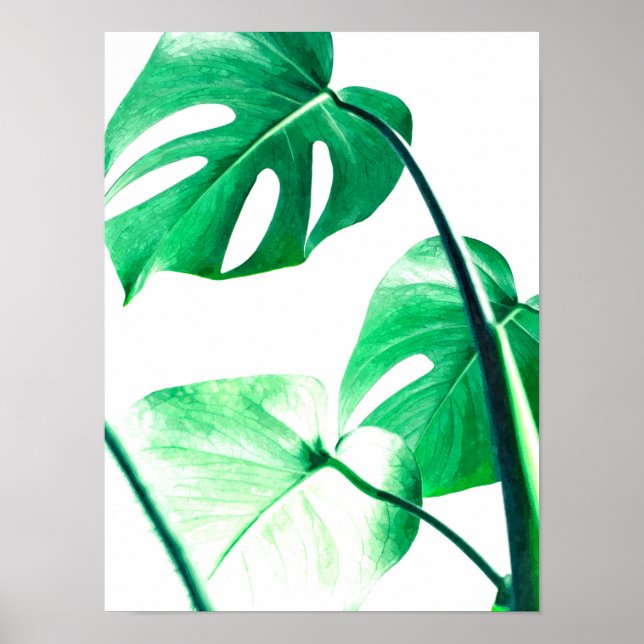 Pôster Monstera Palm deixa aquarela tropical moderna (Frente)
