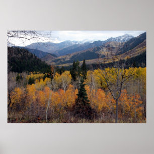Poster Montagem Timpanogos, Utá