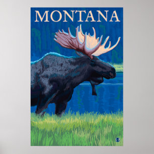 Pôster Montana - alce