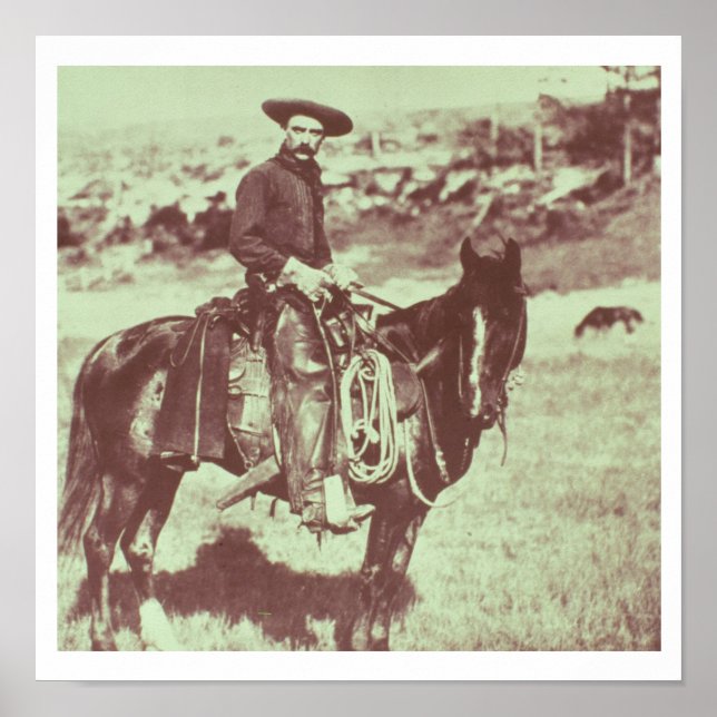 Pôster Montana Cowboy, c.1880 (foto b/c) (Frente)