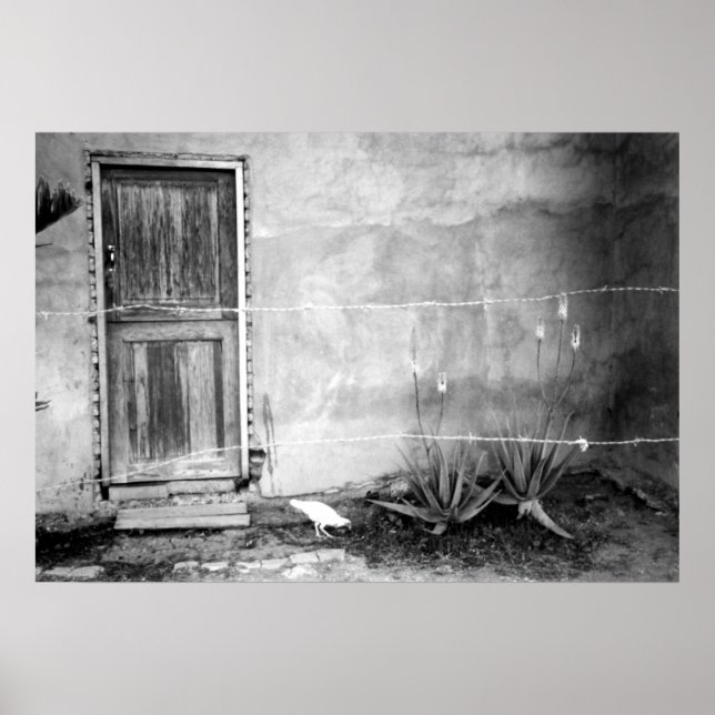 Pôster Montana de' Luz, Honduras (Frente)