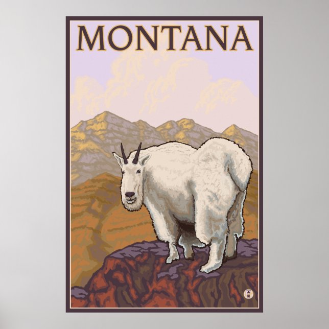 Poster Montana - Mountain Goat (Frente)