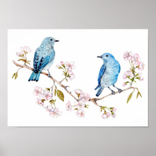 Pôster Montanha Bluebird na Seção Sakura